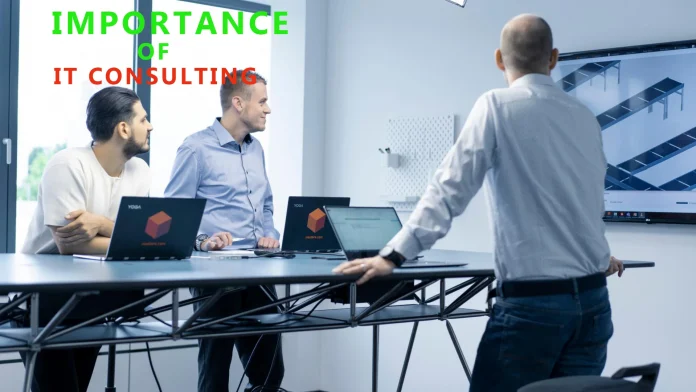 The Importance of IT Consulting