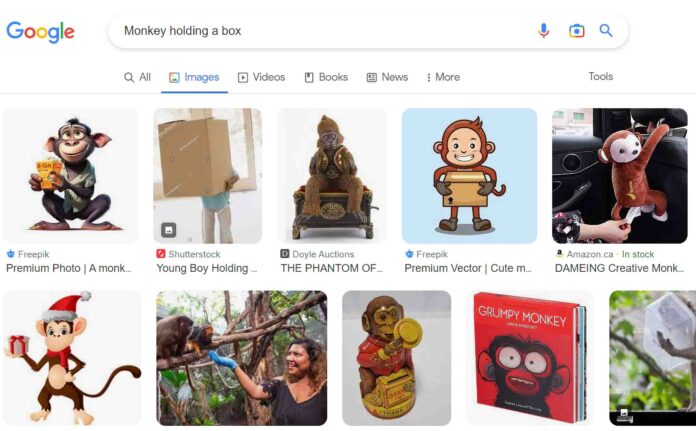 Monkey Holding Box in true results
