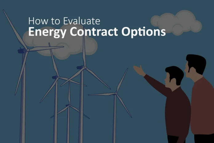 Energy Contract Options