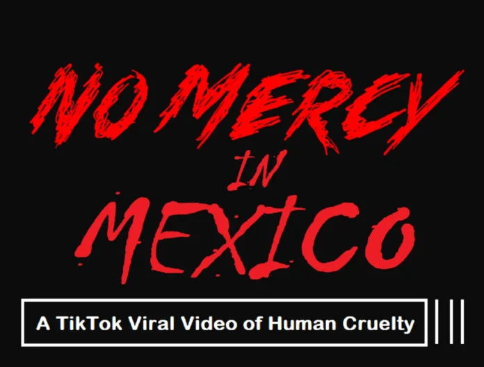 No Mercy in Mexico